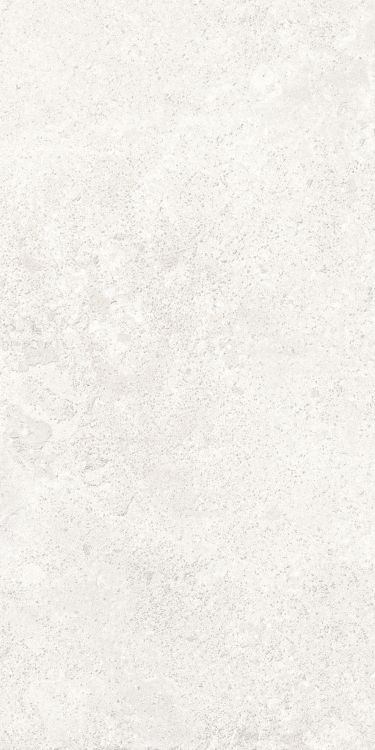 Petra Viva Bone Matte 12 x 24